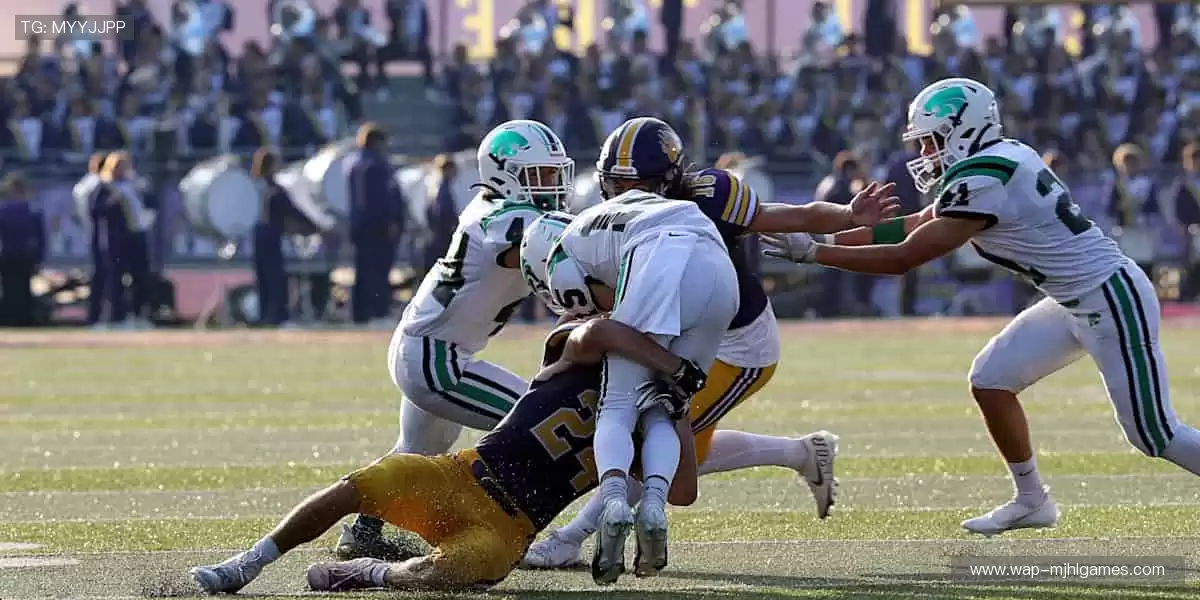 从现场到屏幕,从尖叫到欢呼!🌍🎥 我们始终与你的热爱同频共振!